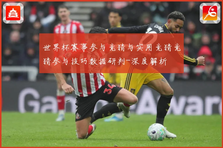 世界杯赛事参与竞猜与实用竞猜竞猜参与技巧数据研判-深度解析