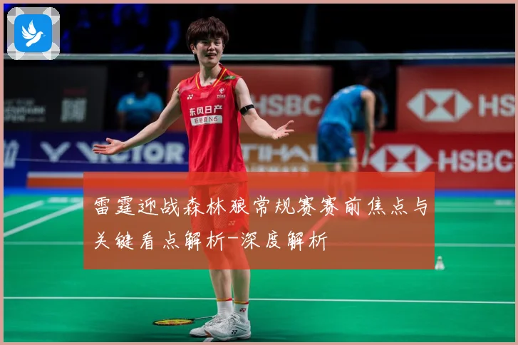 雷霆迎战森林狼常规赛赛前焦点与关键看点解析-深度解析